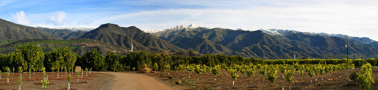 Ojai 带雪的Ojai山谷(PIII)图片