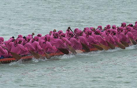长艇赛长艇男性力量粉色男人运动桨手团队龙舟图片