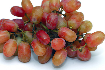 葡萄藤蔓场景浆果水果蓝色季节收成酒厂食物植物图片