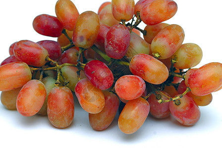 葡萄浆果生长紫色植物季节栽培收成生活食物水果图片