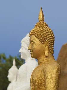 金佛白色寺庙佛教徒雕塑宗教背景图片