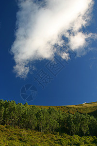 山区森林天空土地蓝色灌木丛爬坡绿色背景图片