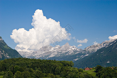 春季风景场地乡村蓝色天空土地树木白色房子山脉绿色图片