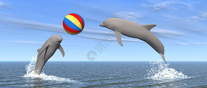 玩球的海豚海豚与球交融背景