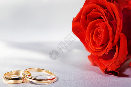 环环和圆环蜜月玫瑰庆典婚礼卡片戒指念日惊喜金子花瓣图片