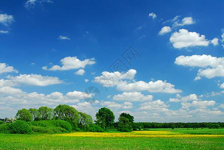 七月你好春季风景牧场花朵场景农村草地地平线场地地面孤独农场背景