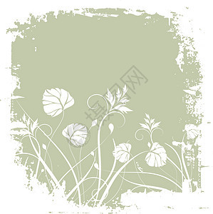 花层背景植物花朵插图季节背景图片