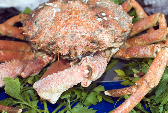 螃蟹摊位熟食市场食物奢华海鲜展示图片