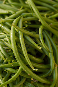 豆子食物种植花园季豆蔬菜生产图片