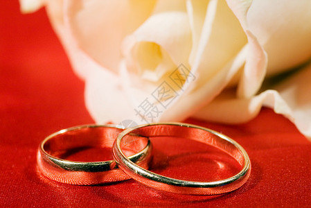 戒指惊喜庆典订婚婚礼念日卡片脆弱性玫瑰花瓣夫妻图片