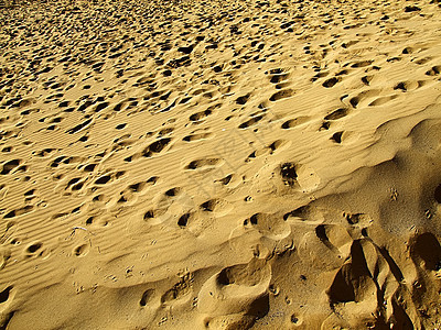 沙漠沙地死亡海滩干旱天空粮食天顶太阳晴天沙丘场景背景图片
