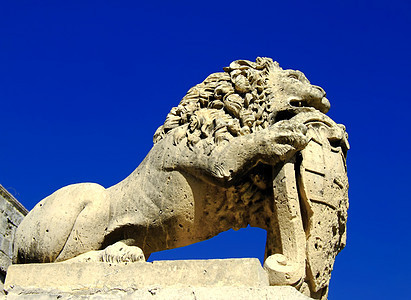 石狮狮子石头力量雕塑做工医学雕像天空工匠精神动物图片