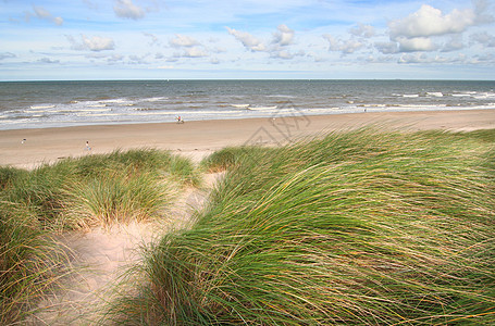 掩体蓝色海岸海岸线沙丘草绿色支撑海滩图片