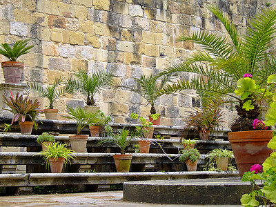 园艺大地植物装饰风格花盆爱好生长植物学背景图片
