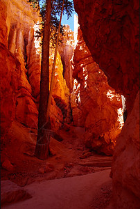 布莱红色游客白色岩石国家沉积高原地质学橙子地标图片