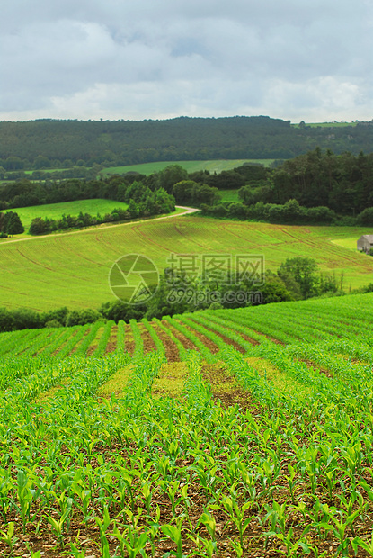 农业地貌景观农村土地国家农场草地爬坡农田绿色植物生长图片