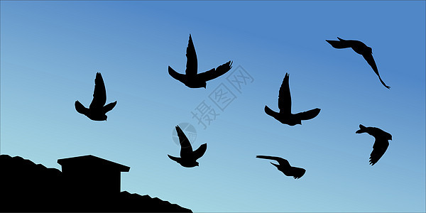 矢量飞鸟剪影蓝色黑色天空自由鸽子背景图片