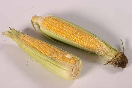 白玉米味道饮食植物食品农业蔬菜食物市场烹饪图片