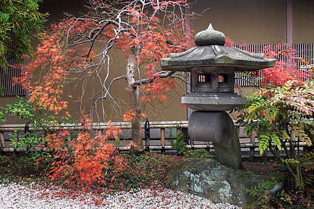 日本灯和秋天的青树图片