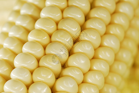玉米密闭蔬菜内核小吃收成玉米片金子爆米花流行音乐谷物饮食图片