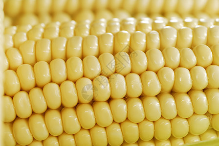玉米背景背景蔬菜玉米片金子农场营养宏观植物饮食棒子主食图片