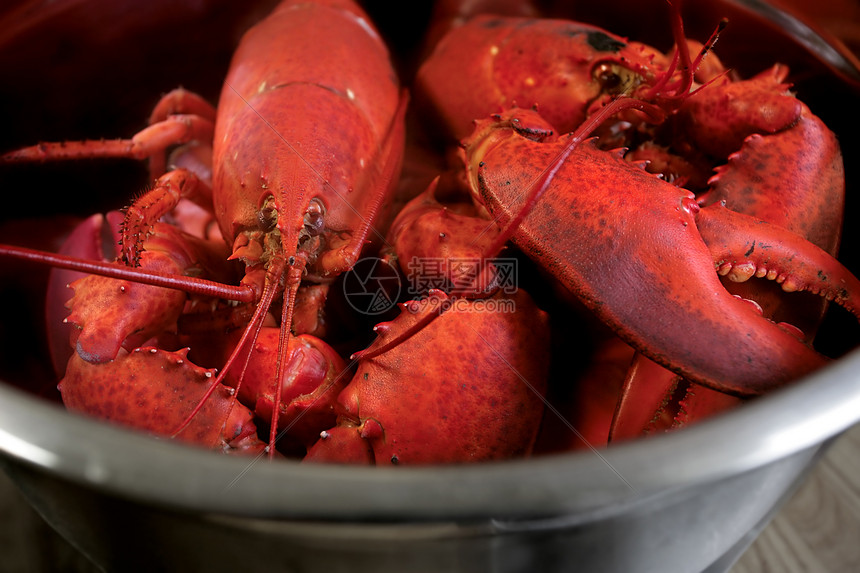 煮煮龙虾天线贝类食物美食动物野餐裂缝螃蟹甲壳餐厅图片