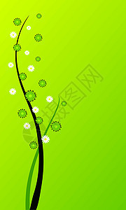 花卉背景白色绿色花朵插图黄色背景图片