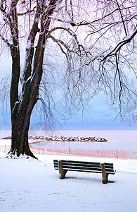 冬季公园支撑孤独寂寞长凳海滩降雪季节长椅小路分支机构图片