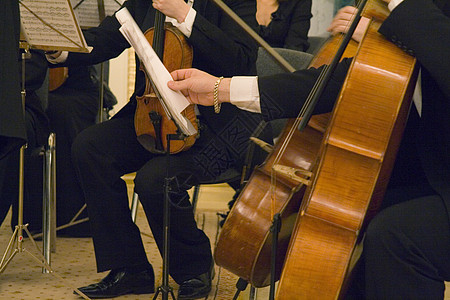 古典音乐的音乐会大提琴手音乐家细绳小提琴大提琴乐器音乐笔记乐队桌子图片