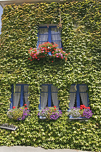 Kervignac 有蓝窗的房子 布列塔尼图片