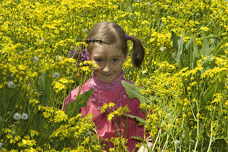 穿粉红裙子的女孩吹牛黄色蠕动灌木丛花朵红色背景图片