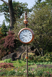 公园中的时钟背景图片