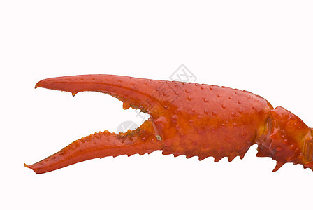 曲线美味小龙虾食物爪子美食海鲜背景图片