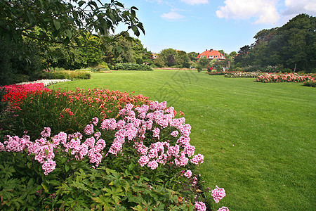 春公园花朵房子花坛花园玫瑰草地绿色图片