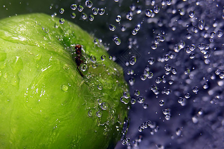 正在刷新苹果液体蓝色飞溅波纹水果健康卫生饮食气泡图片