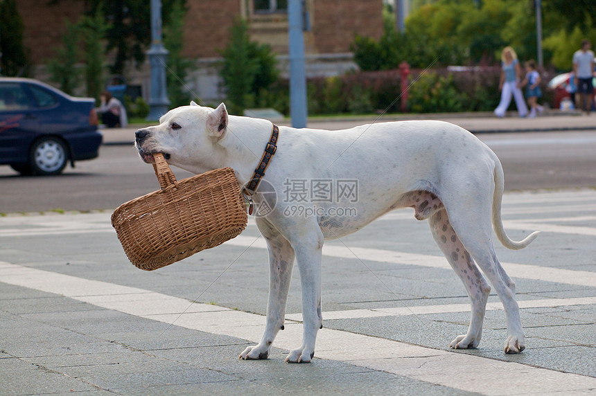 我们放点东西进去吧图片