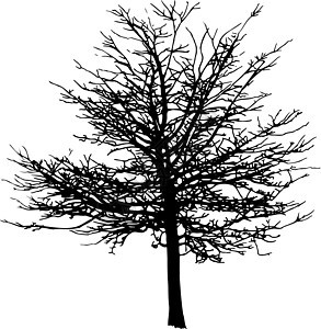 树蓝色夹子绿色枝条季节坡度黑色网络木头插图背景图片