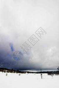 冬季风景荒野白色天空地平线天气戏剧性季节森林风暴图片