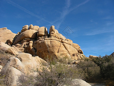 约书亚树NP公园刷子沙漠国家短叶天空编队岩石单子干旱图片
