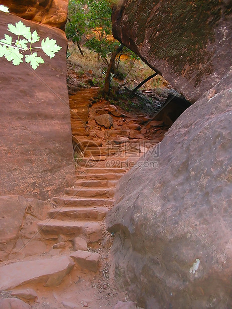 翡翠池轨迹避难所生活旅行林地针叶林游客砂岩公园处女国家图片