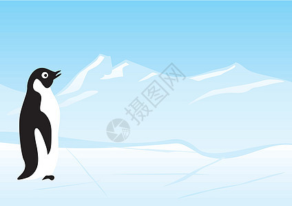 企鹅脊椎动物旅行气候天空野生动物生活翅膀鸟类浮冰动物图片