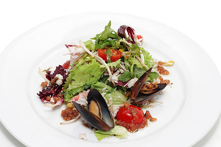螃蟹沙拉炙烤美食海鲜午餐奢华蟹肉休息西红柿餐厅香菜图片