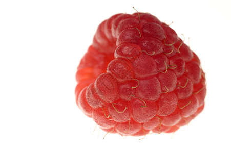 大草莓白色红色食物水果宏观背景图片