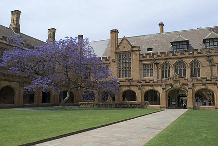 悉尼大学夸德龙历史性庭院学习教育历史步伐回廊紫色四边形草地图片