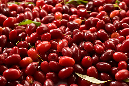 山茱萸种植肉质营养水果阴影甜点红色叶子食物饮食图片