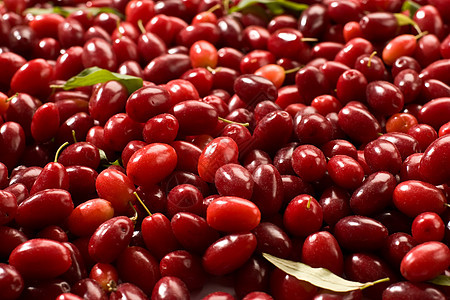 山茱萸种植肉质营养水果阴影甜点红色叶子食物饮食图片
