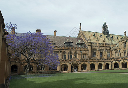 悉尼大学夸德龙回廊草地历史性庭院学习四边形教育步伐历史紫色图片