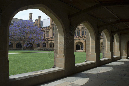 悉尼大学夸德龙四边形历史性步伐庭院草地紫色回廊学习历史教育图片