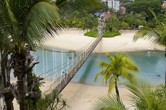 森托萨岛海滩游客棕榈娱乐旅游水平洗澡游泳图片