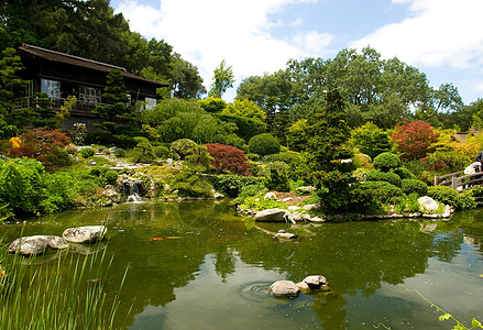 日本花园树林反射园林绿化竹子绿色池塘怀旧冥想花园图片